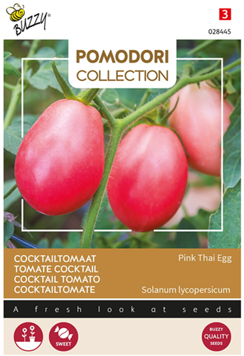 Cocktail Tomato Uovo Roseo Pink Thai Egg - Pomodori Collection