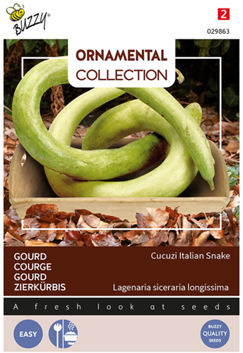 Gourd Cucuzi Italian Snake - Ornamental Collection