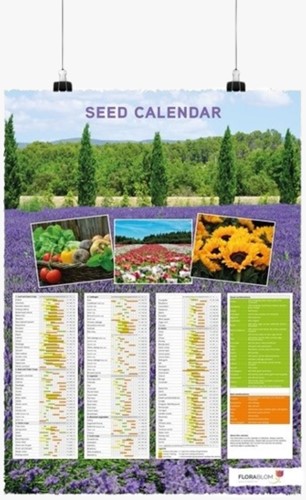 Seed Calendar Poster English