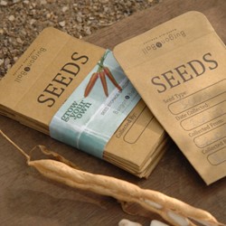 Seed Storage Envelopes - Burgon & Ball