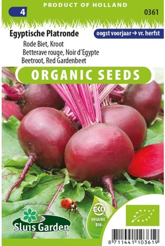 Beetroot, Red Gardenbeet Egyptian flat round EKO-2