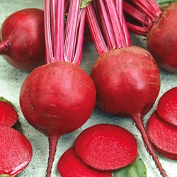 Beetroot, Red Gardenbeet Detroit dark red 2 Nero