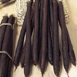 Black salsify Duplex (Scorzonera black)
