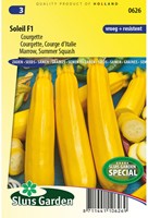 Zucchini Summer Squash Soleil F1 - Cucurbita pepo-2