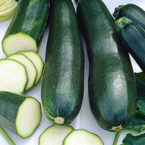 Marrow, Summer Squash Black Beauty EKO