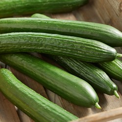 Komkommer Louisa F1 - Cucumis Sativus