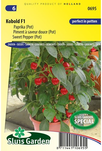 Sweet pepper Kobold F1 PATIO-2