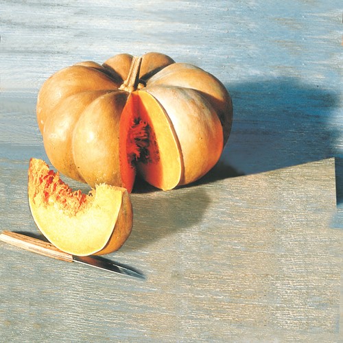 Pumpkin, Winter Squash Musquée de Provence EKO