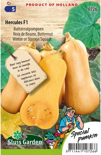 Winter or Storage Squash Hercules F1-2