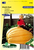 Gourd (large) Atlantic Giant - Cucurbita maxima-2