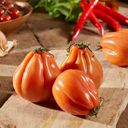 Tomato Oxheart Coeur de Boeuf