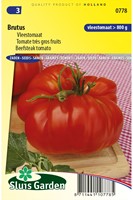 Beefsteak tomato Brutus - Lycopersicon-2