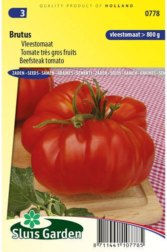 Beefsteak tomato Brutus - Lycopersicon-2