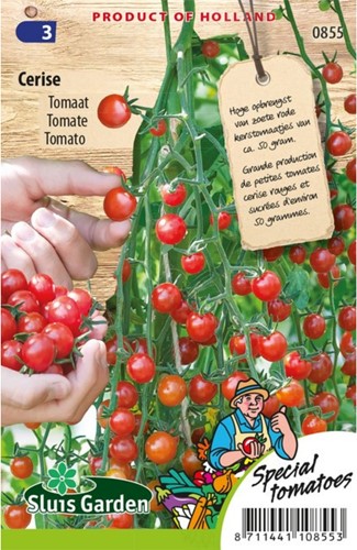 Tomato Cerise-2