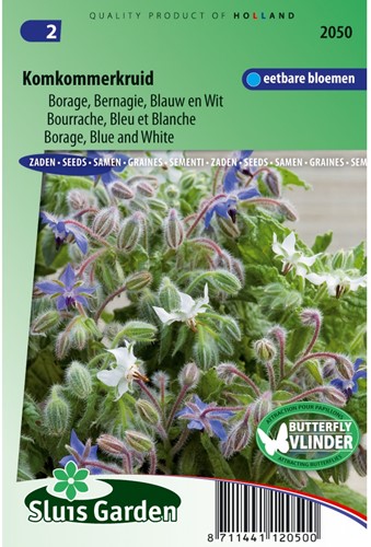 Komkommerkruid Borage Blauw en wit - Borago officinalis-2