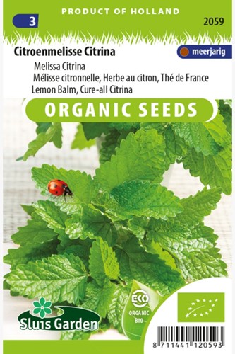 Lemon Balm, Cure-all Citrina EKO-2