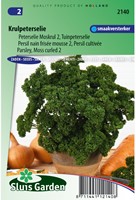 Peterselie Moskrul 2 - Petroselinum crispum-2