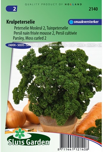 Peterselie Moskrul 2 - Petroselinum crispum-2
