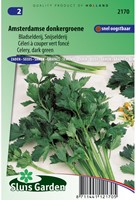Celery Amsterdam Dark Green (Apium grav.)-2