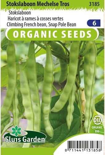 Climbing French bean Mechelse Tros BIO