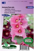 Hollyhock Antwerp Stars single mix - Alcea ficifolia-2