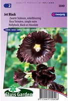 Hollyhock Nigra Jet Black-2