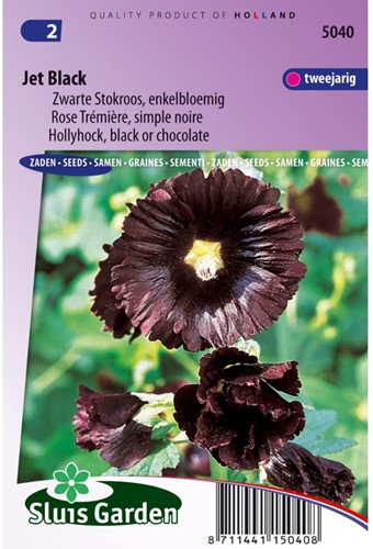 Hollyhock Nigra Jet Black-2