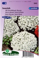Schildzaad Sneeuwkleed (Alyssum)-2