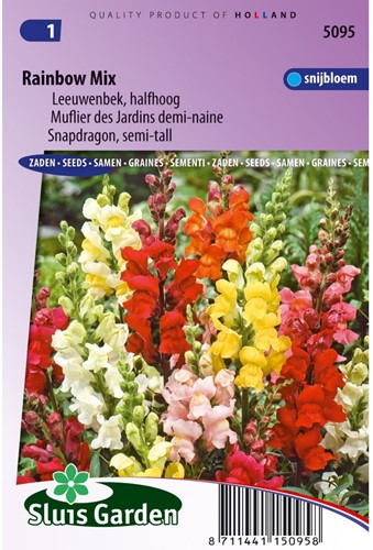 Snapdragon Rainbow mix (semi-tall)-2