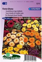 Pot Marigold Fiesta Gitana dwarf double mix - Calendula-2