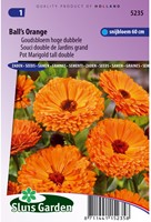 Pot Marigold Ball's Orange tall double - Calendula-2