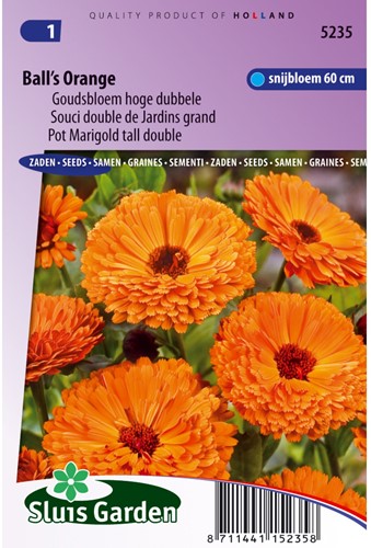 Pot Marigold Ball's Orange tall double - Calendula-2