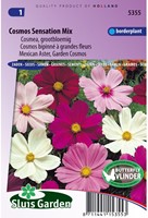 Cosmos Sensation Mix-2