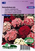 Sweet William Double Choice Mix-2