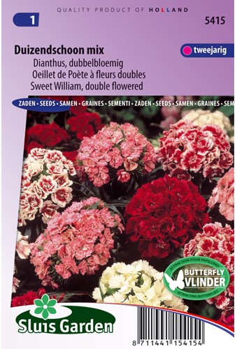 Sweet William Double Choice Mix-2