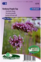 Garden Vervein Purple Top, tall-2