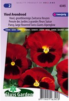 Pansy Swiss Giants Alpenglow-2