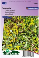 Vetkruid Mix - Sedum-2