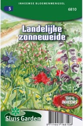 Rustic agrarian sunny lawns – Native Wildflower Mix