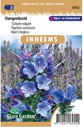 Slangenkruid - Echium vulgare
