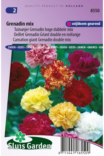 Carnation Grenadin Mix – Dianthus