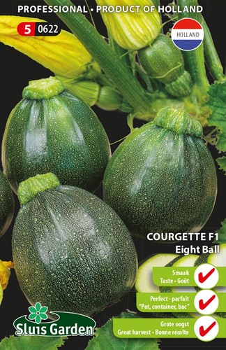 Marrow, Summer Squash Eight Ball F1