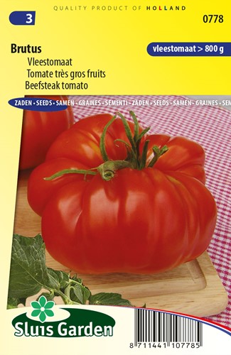 Beefsteak tomato Brutus - Lycopersicon