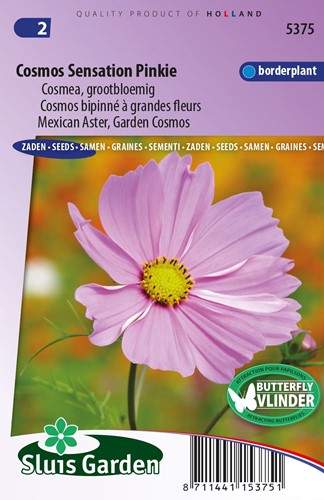 Mexican Aster Sensation Pinkie - Cosmos bipinnatus