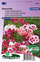 Godetia Monarch mix - Clarkia amoena