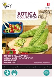 Bittergourd Sopropo - Xotica Collection