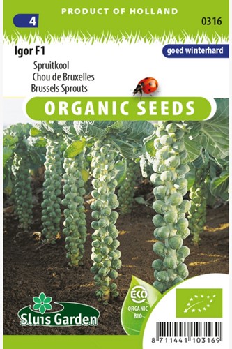 Brussels sprouts Igor F1 EKO