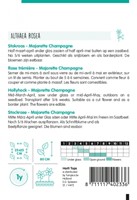 Hollylock Majorette Champagne - Hortitops-2