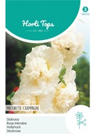 Hollylock Majorette Champagne - Hortitops