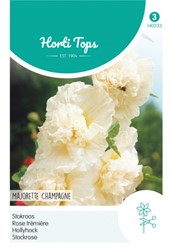 Hollylock Majorette Champagne - Hortitops